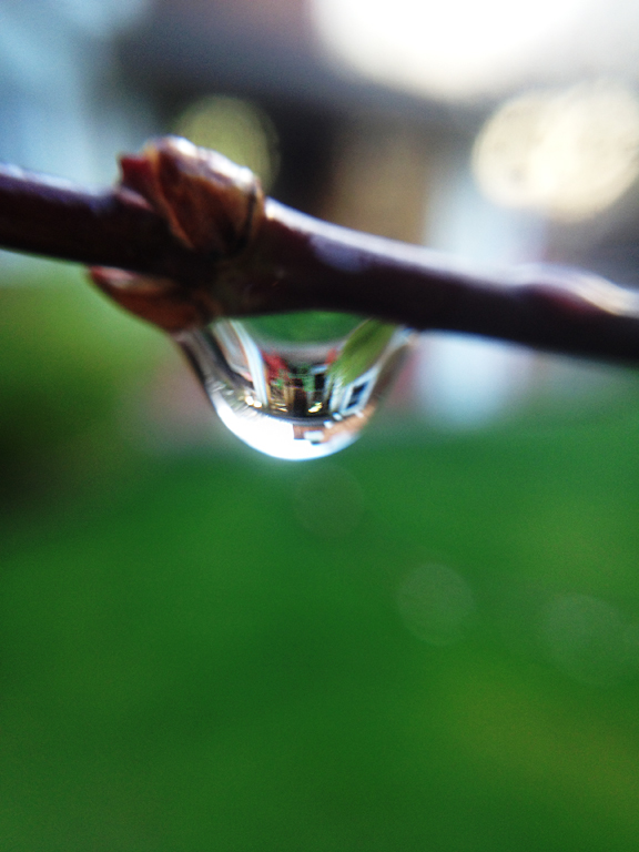 water_drop