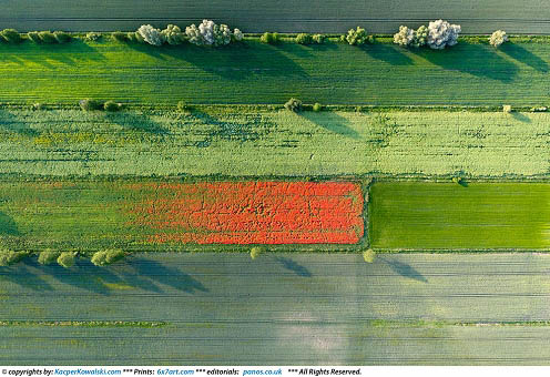 _thumb_kacperkowalski-com_spring-08