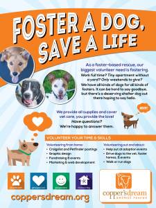 CoppersDream_Poster_2014_R2