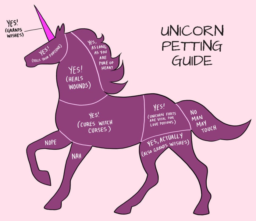 unicorn_petting_guide_2